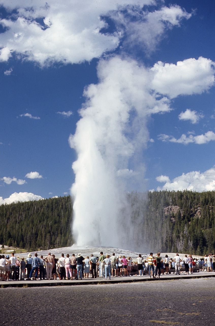 geyser yellowstone park free photo