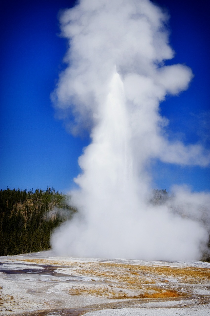 old faithful geyser famous free photo