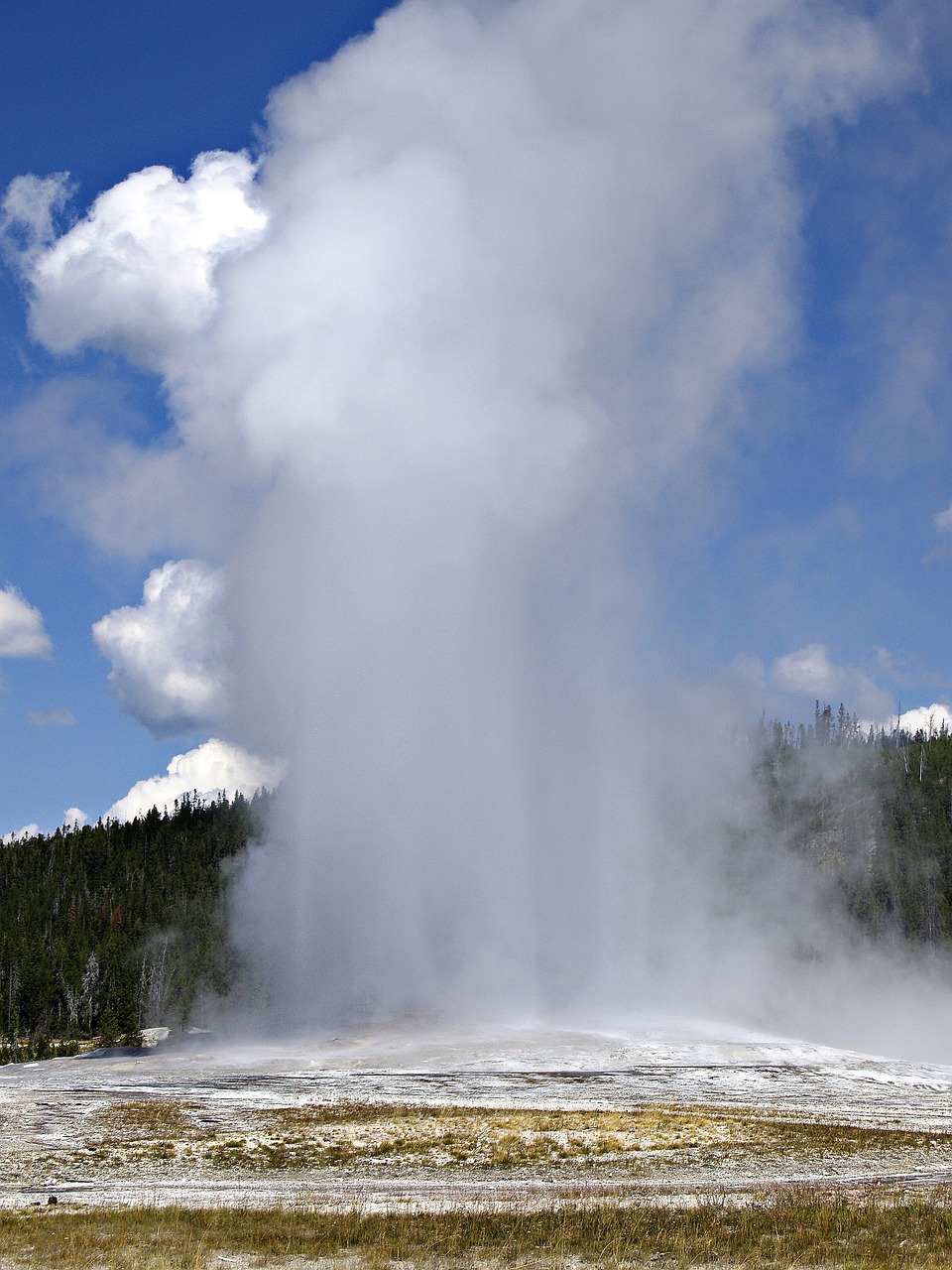 old faithful geyser yellowstone national park free photo