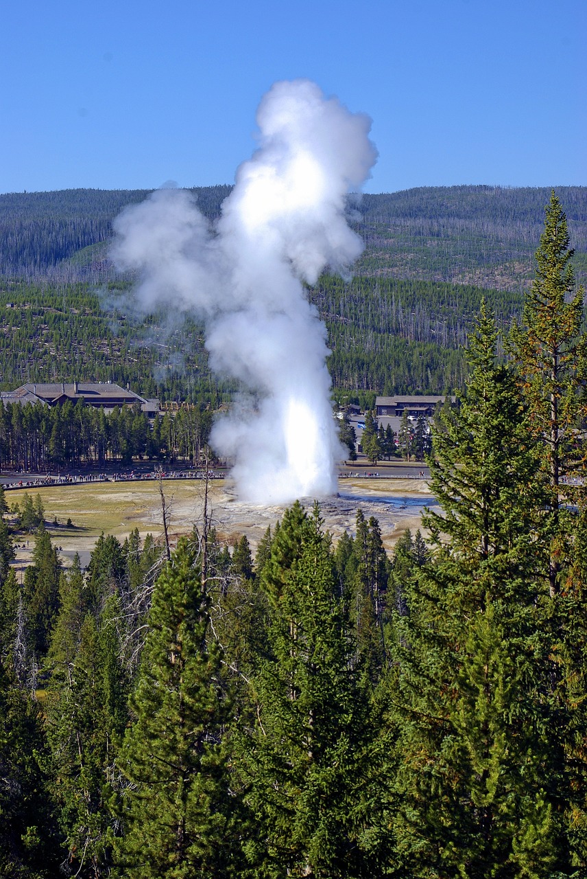 old faithful geyser overlook  geyser  steam free photo