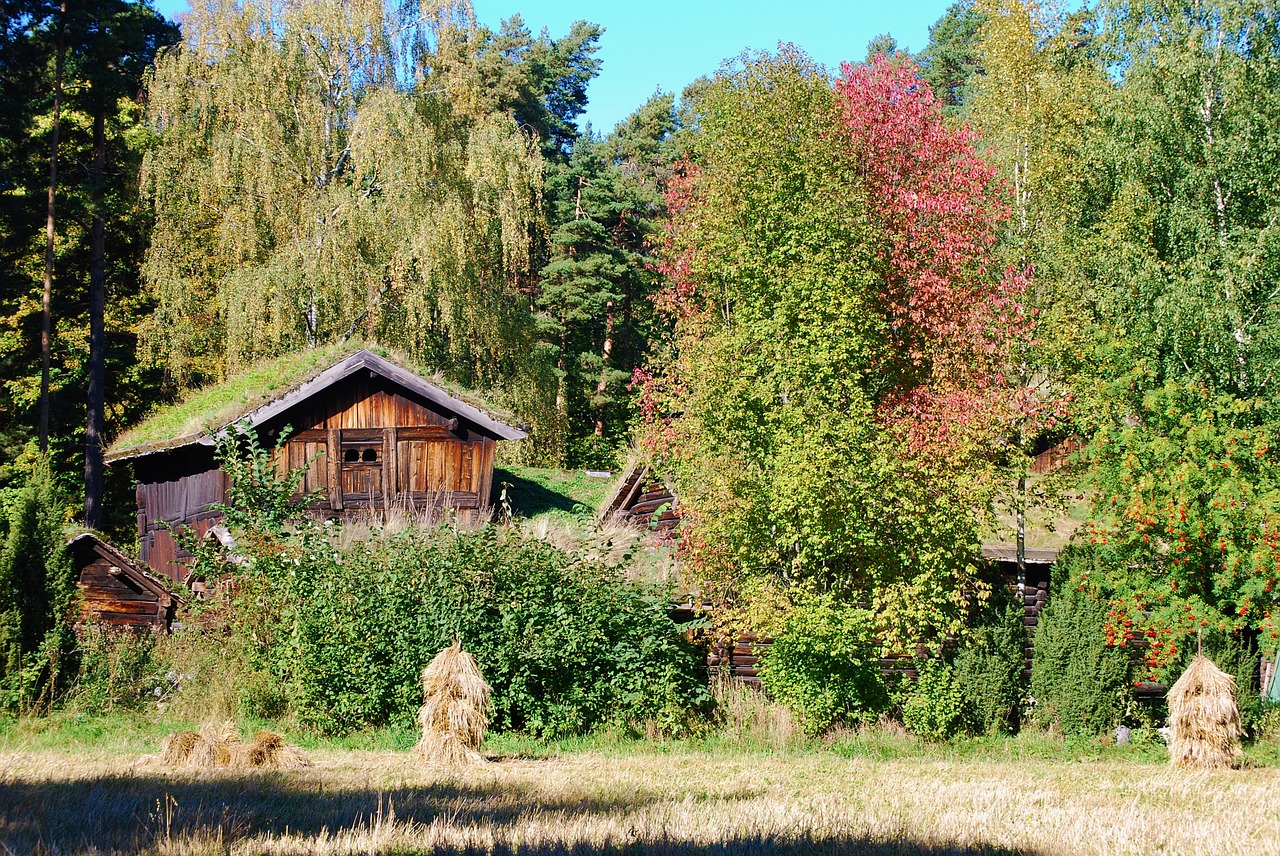 old farm barn log house free photo