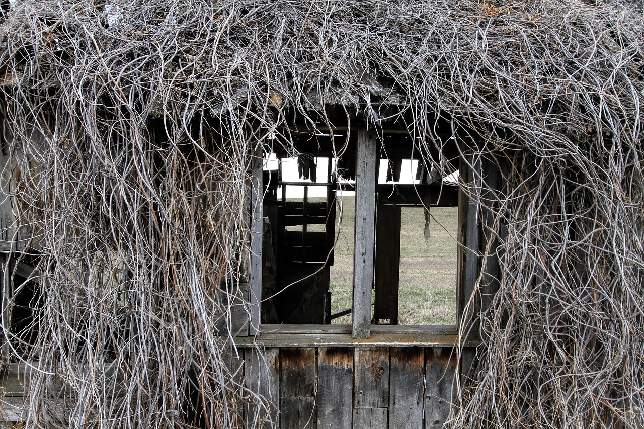 old farm house decay home free photo