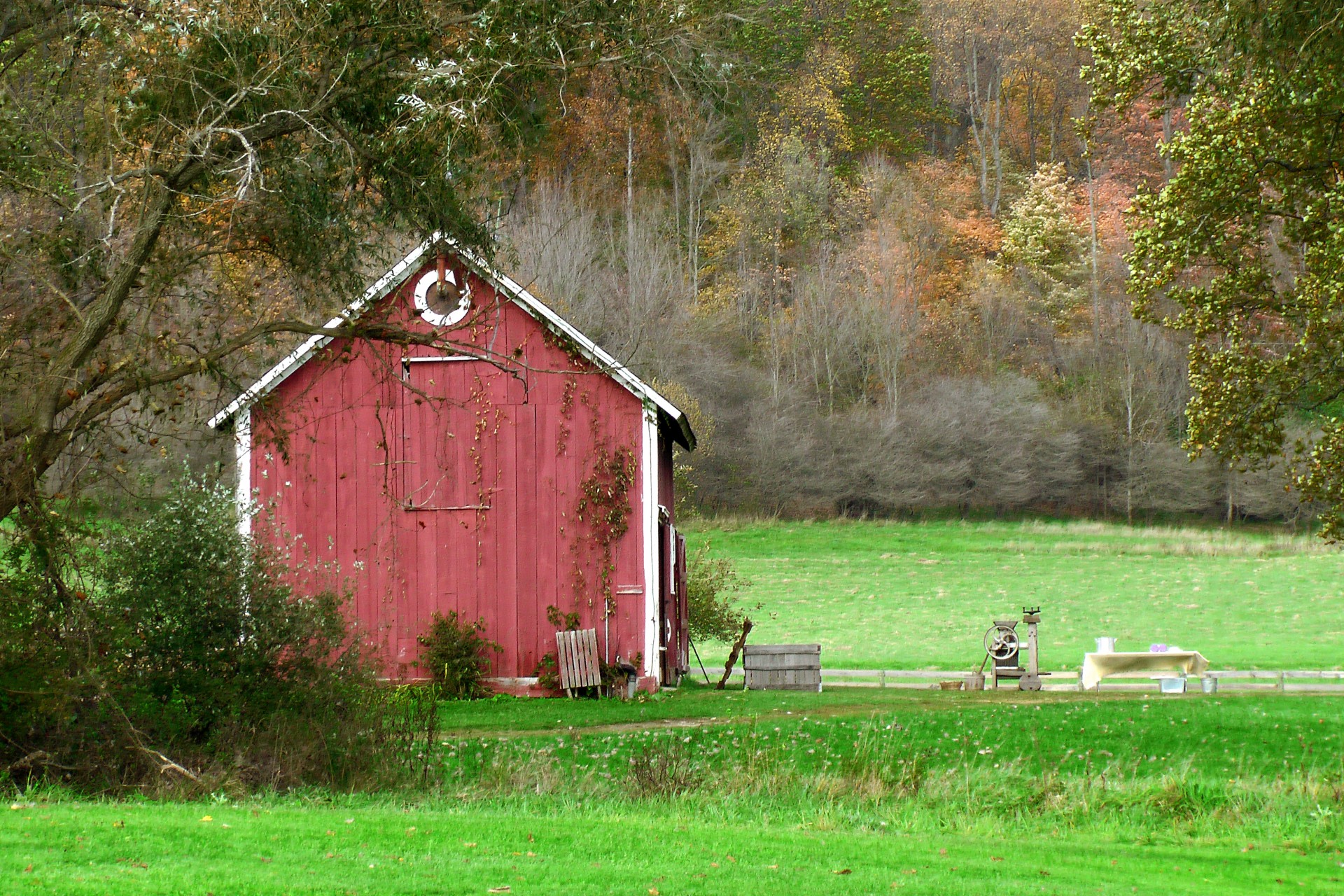 barn red red paint free photo