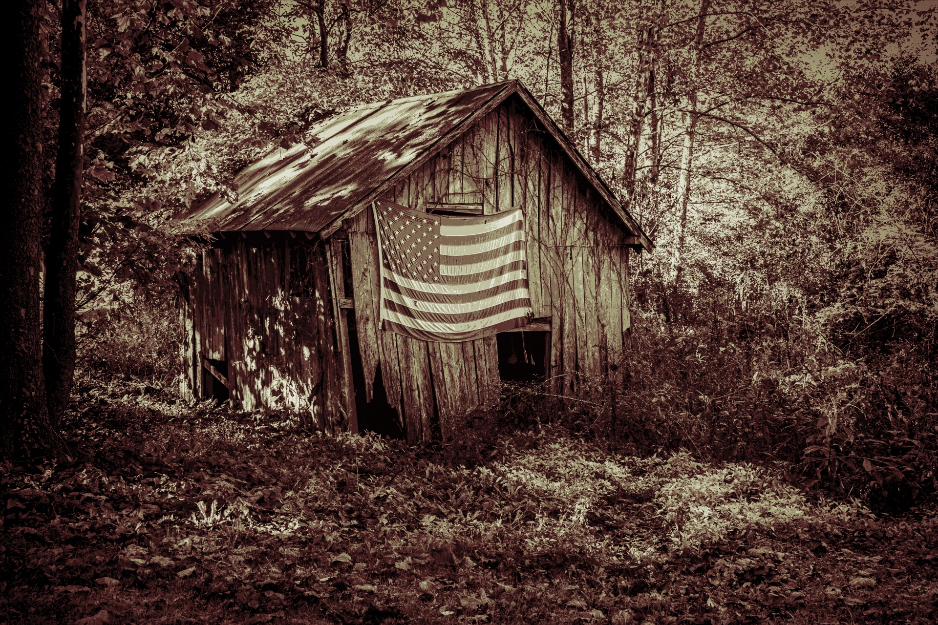 flag old glory decay free photo