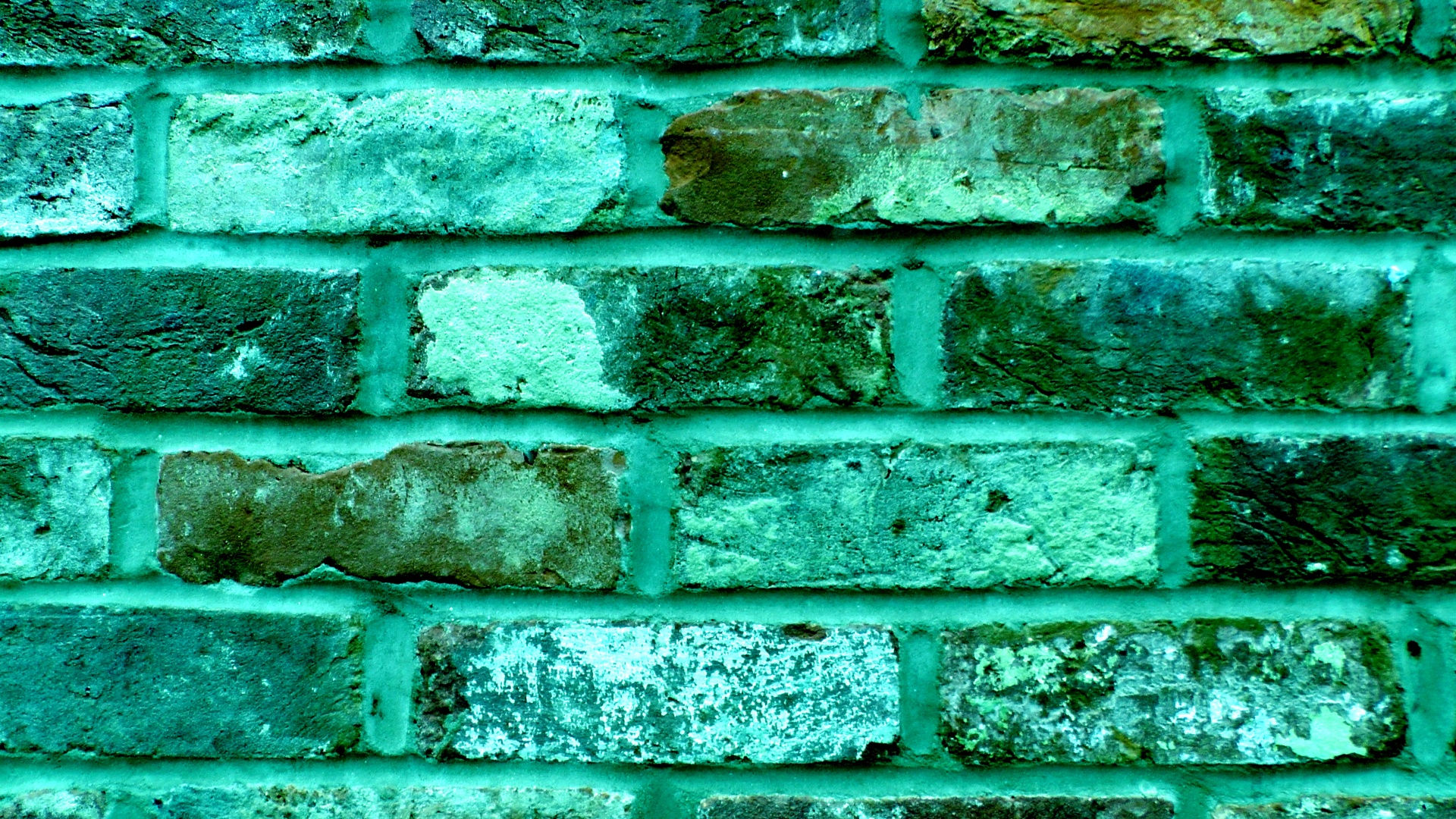 green turquoise background free photo