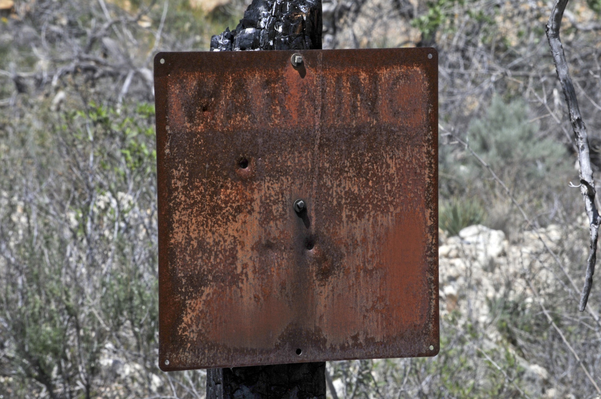 grunge sign warning sign free photo