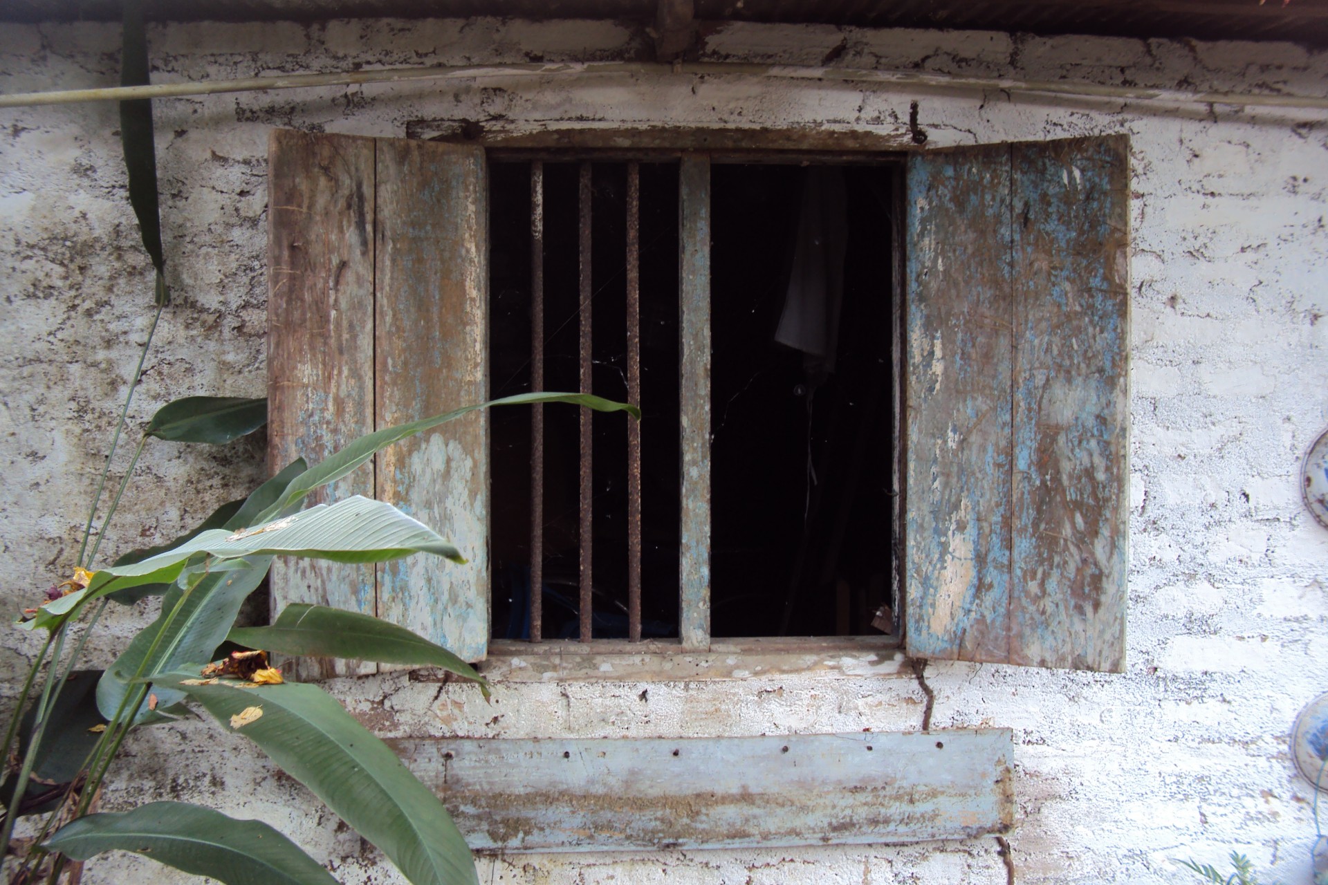 old ancient window free photo