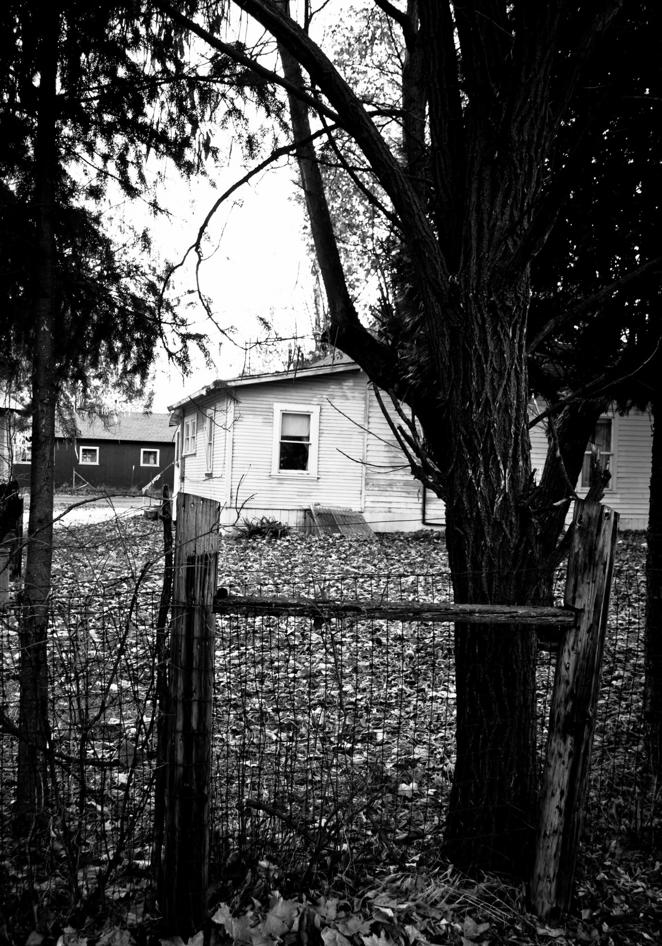 house black and white old free photo