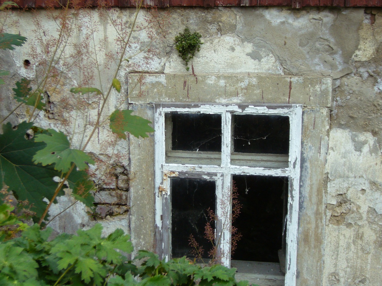 old house window old free photo
