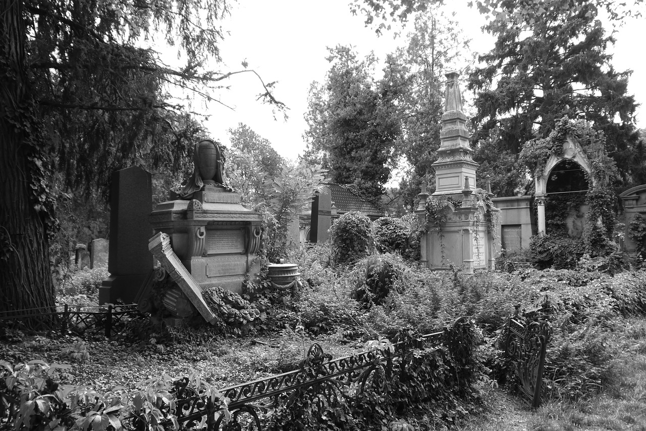 old jewish cemetery vienna broken tombs free photo