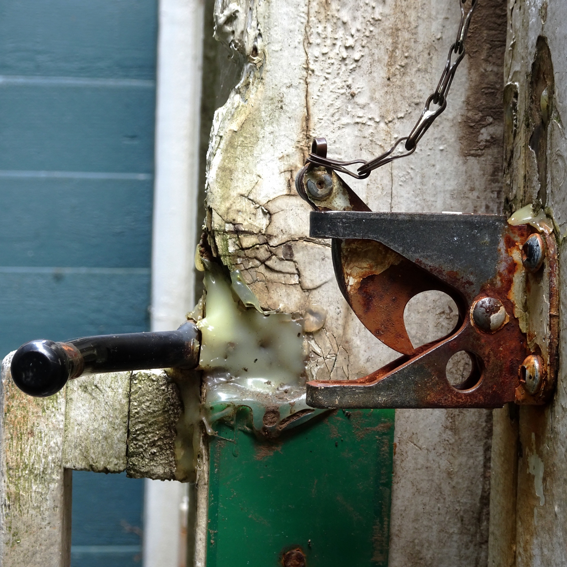 old lock close-up free photo