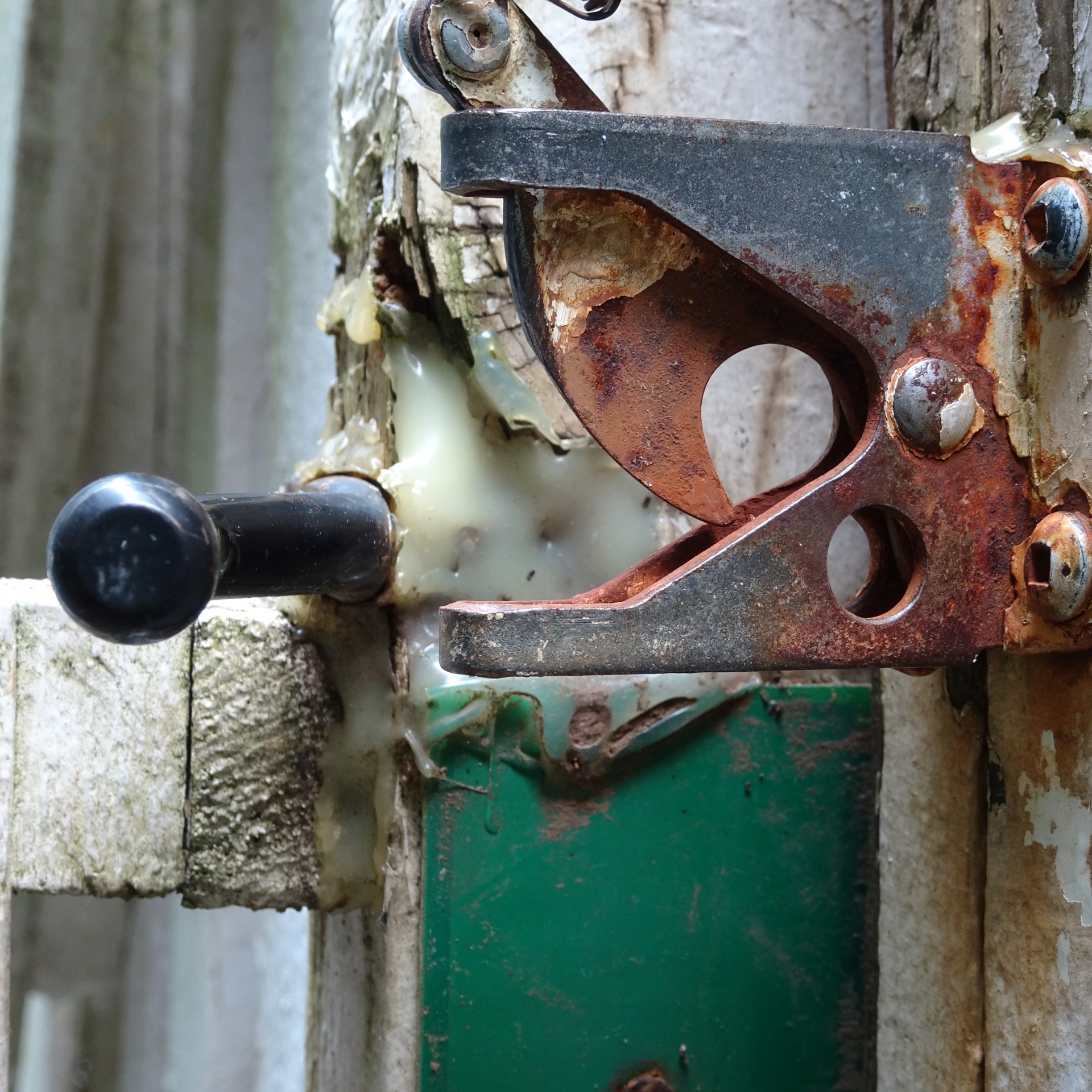 old lock close-up free photo