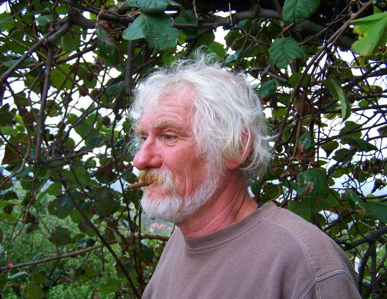 old man fall hair portrait free photo