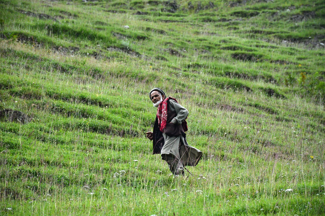 old man green mountain free photo