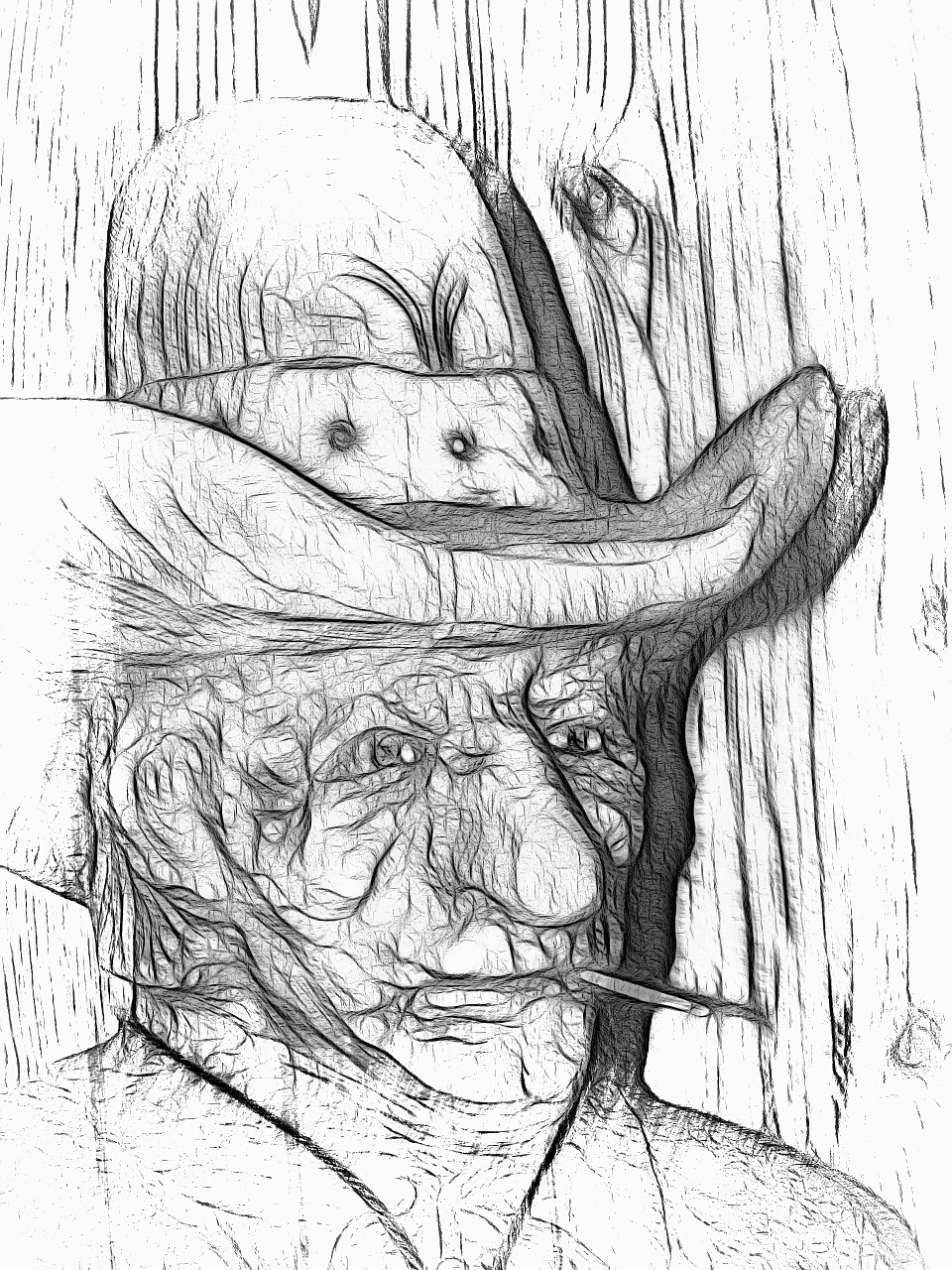 old man cowboy art free photo