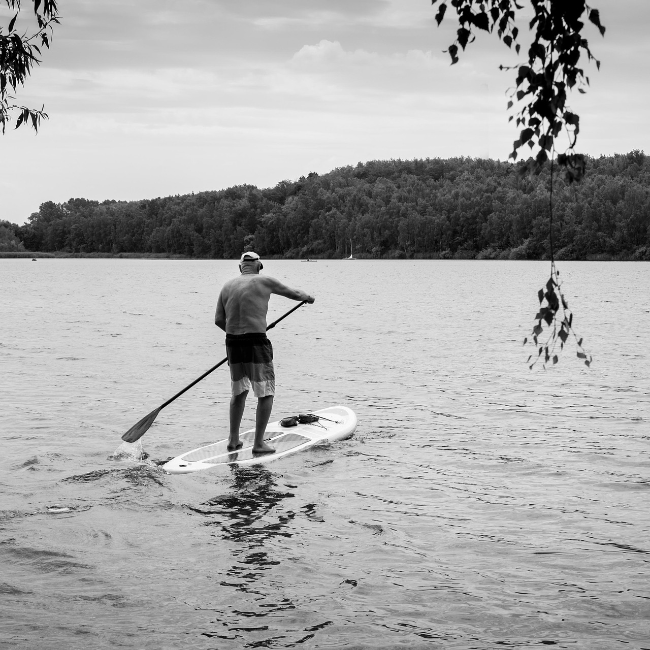 old man lake paddle free photo