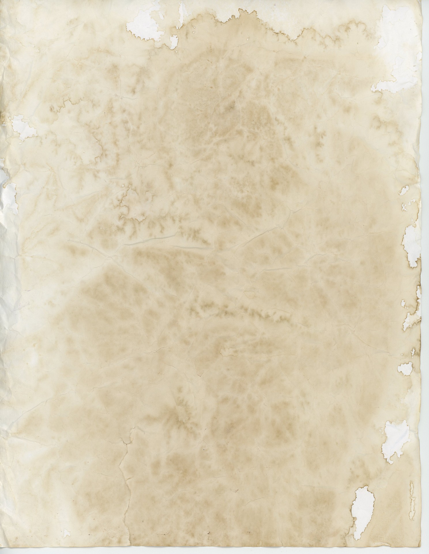 parchment paper medieval free photo
