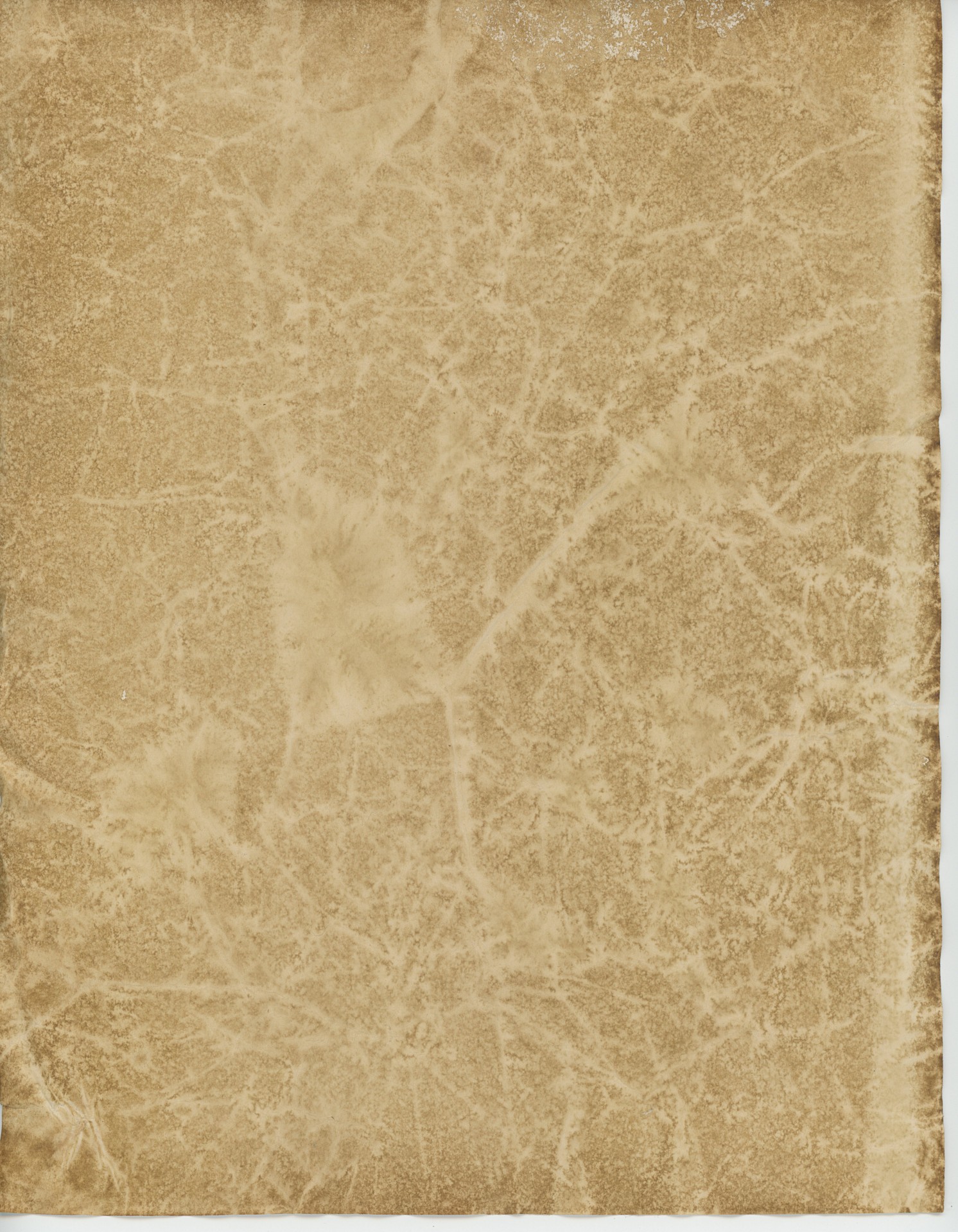 parchment paper medieval free photo