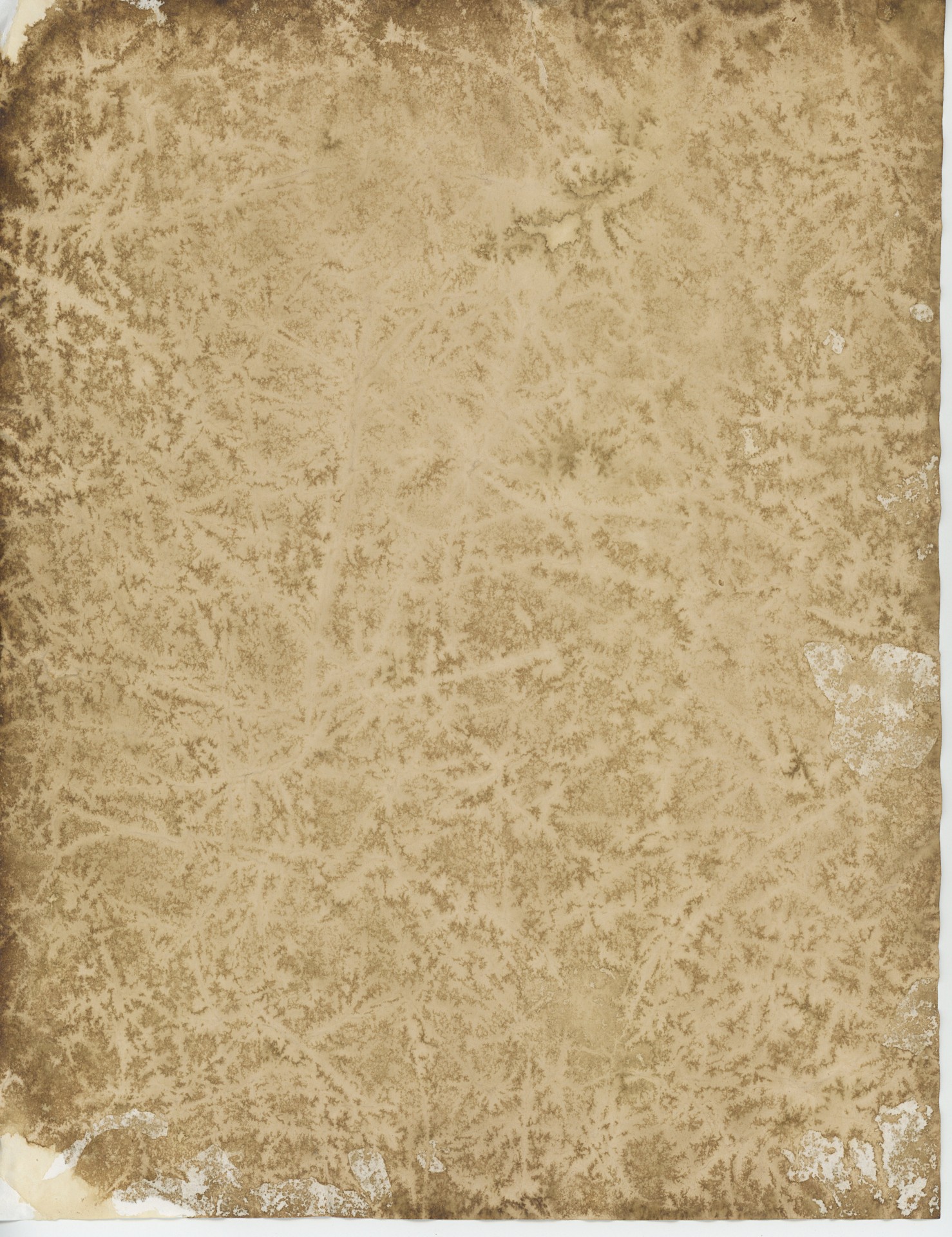 parchment paper medieval free photo