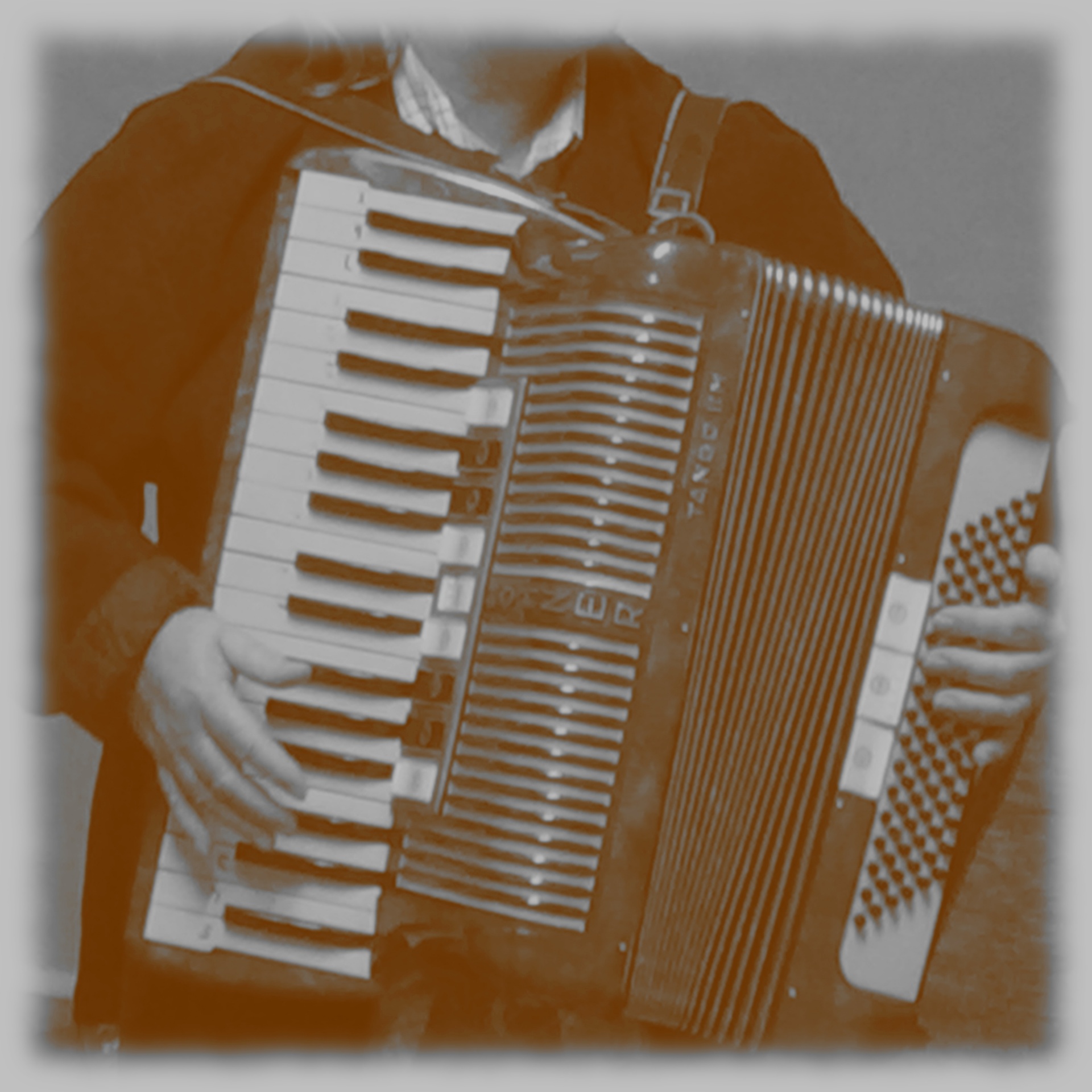 accordion accordionist faded free photo