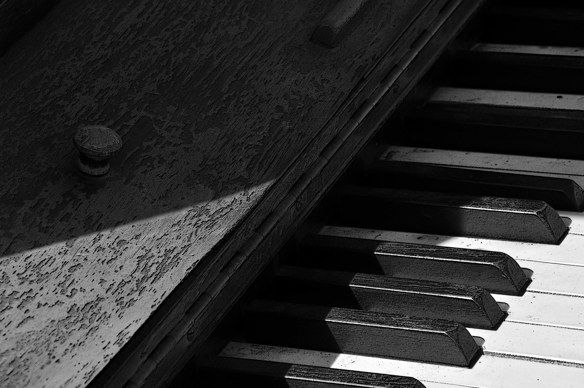 piano key keys free photo