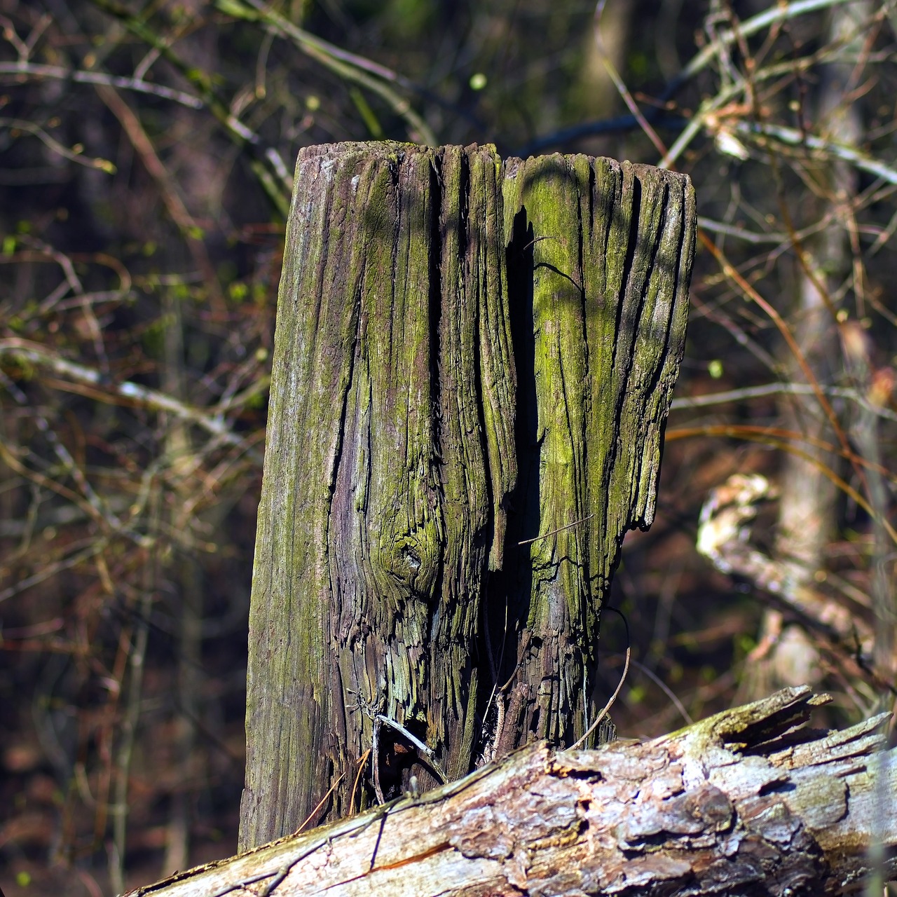 old post  fence  post free photo