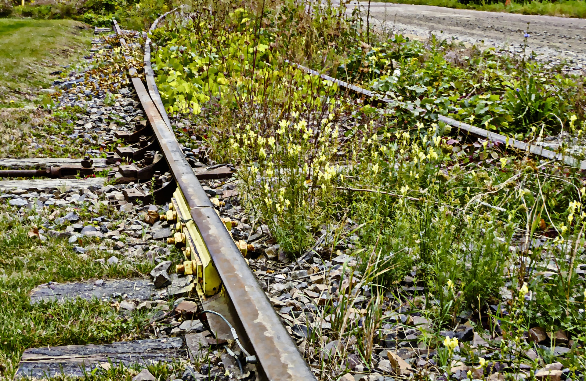 railroad train tracks free photo