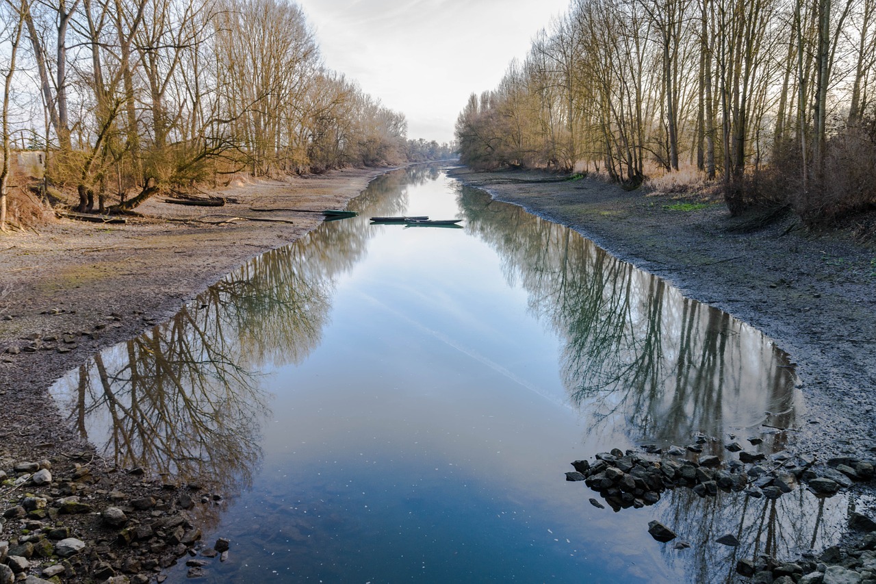 old rhine river landscape free photo