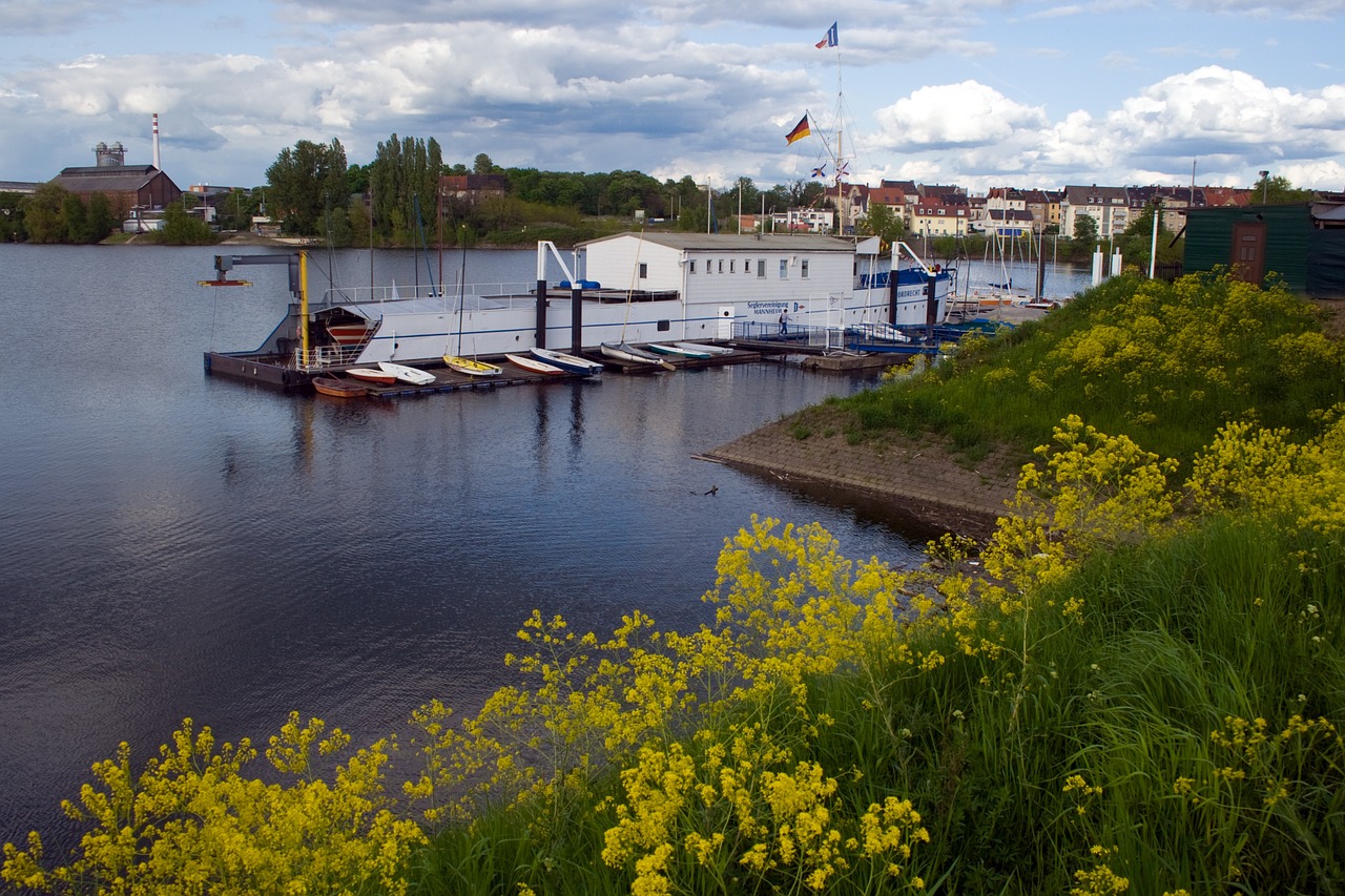 old rhine rhine mannheim free photo