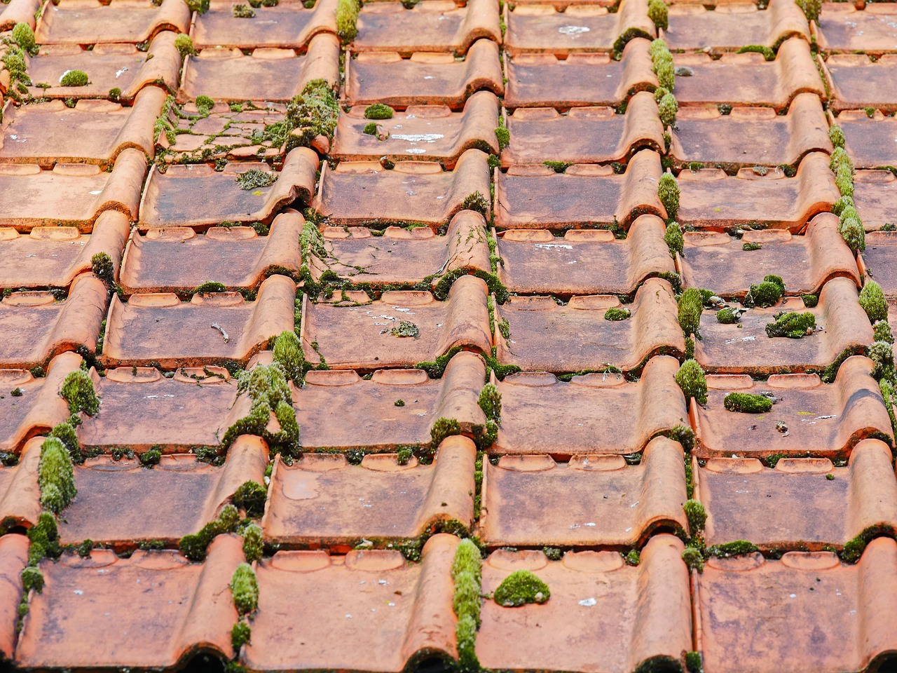 old roof roofing tiles barn free photo