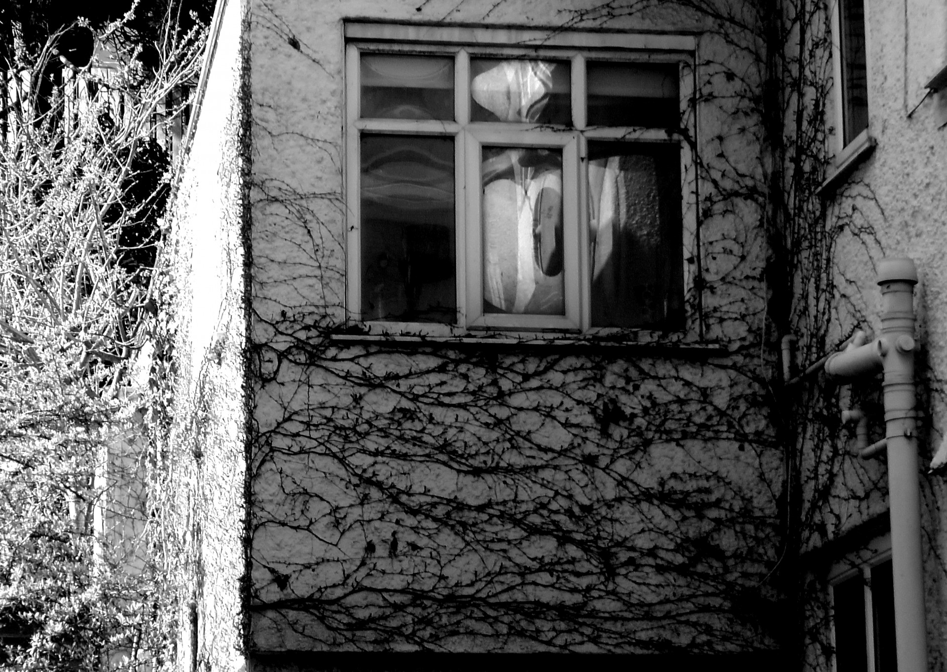 old scary creepy house scary creepy free photo