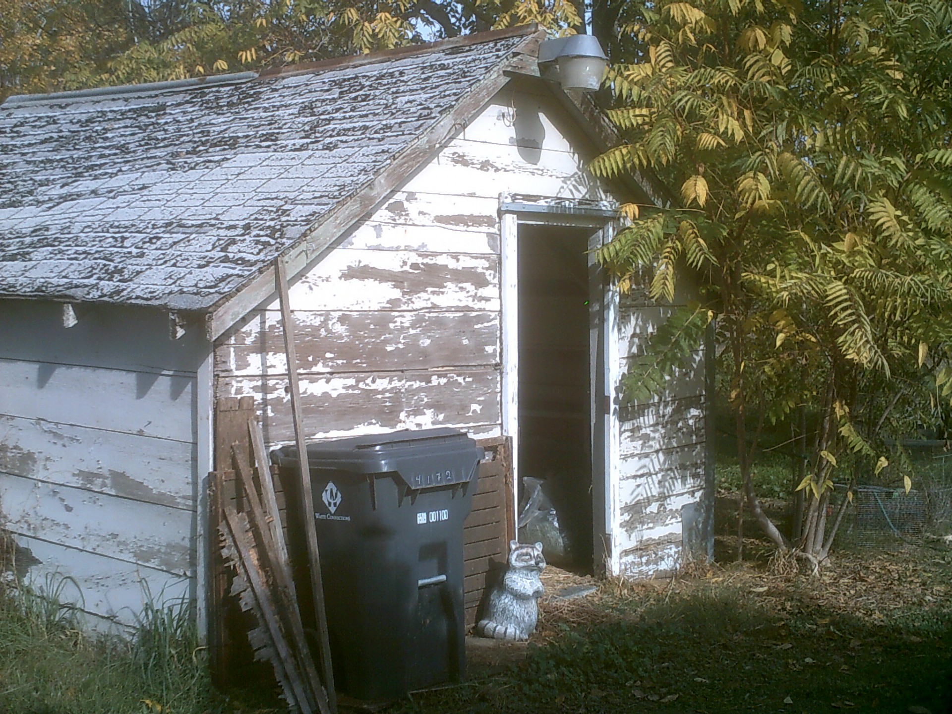 old shack shed free photo