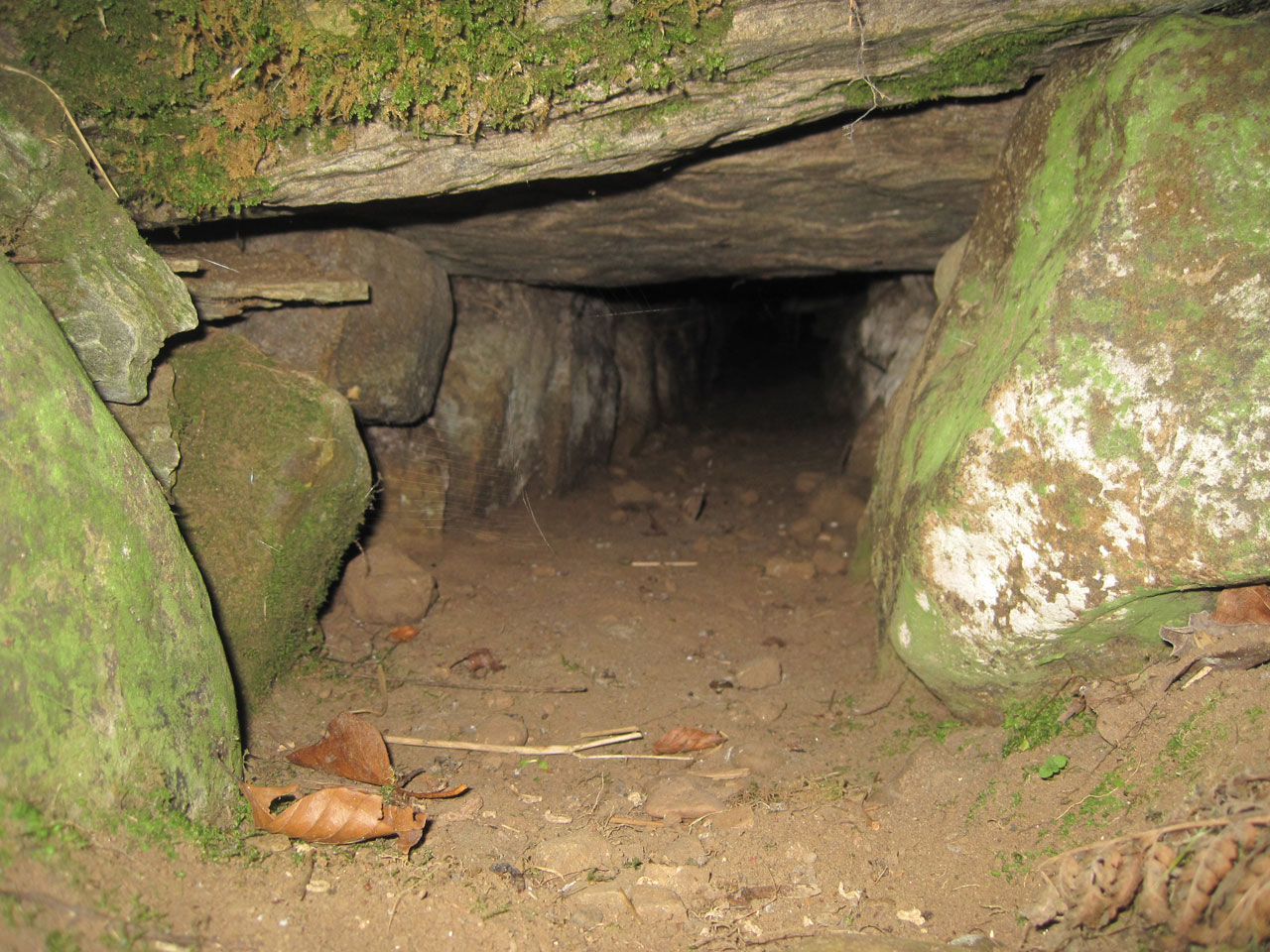 tunnel drains field free photo