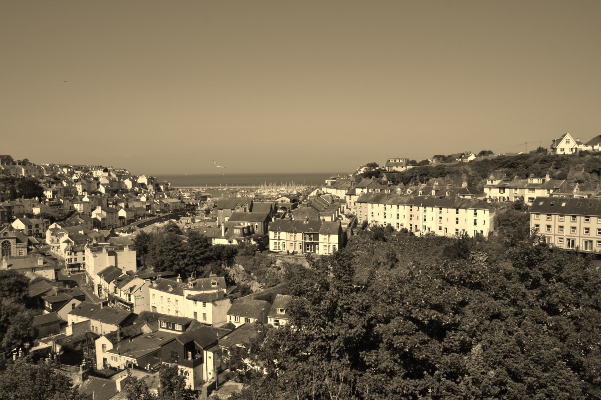 brixham harbour devon free photo