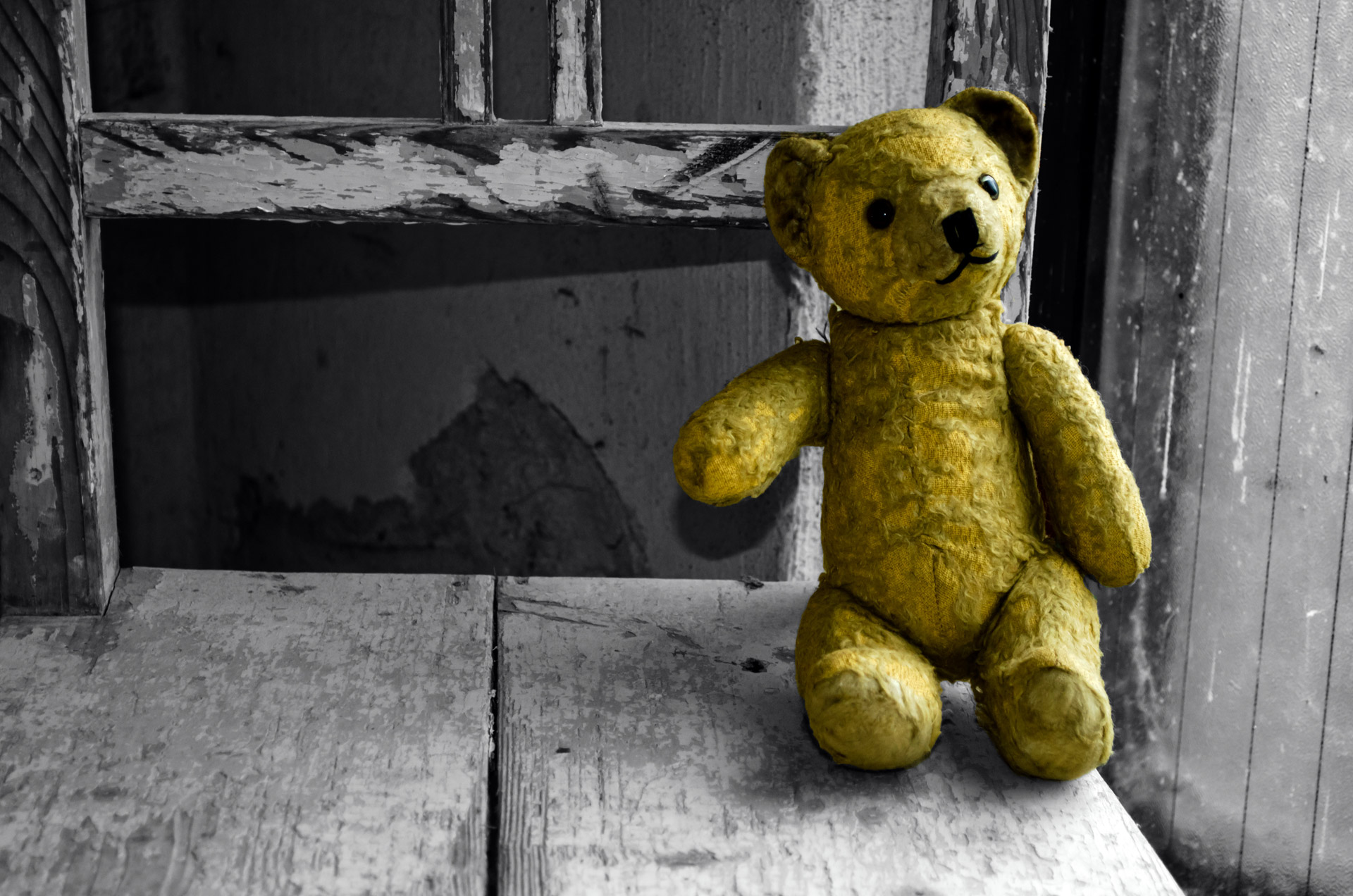 old teddy bear bear free photo