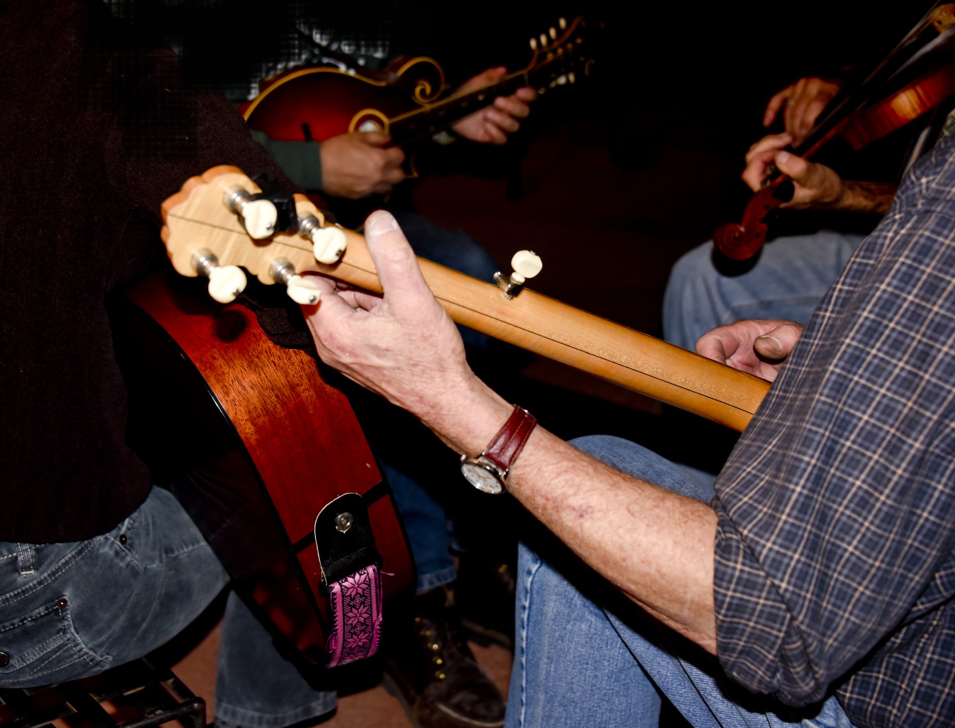 fiddle guitar mandolin free photo