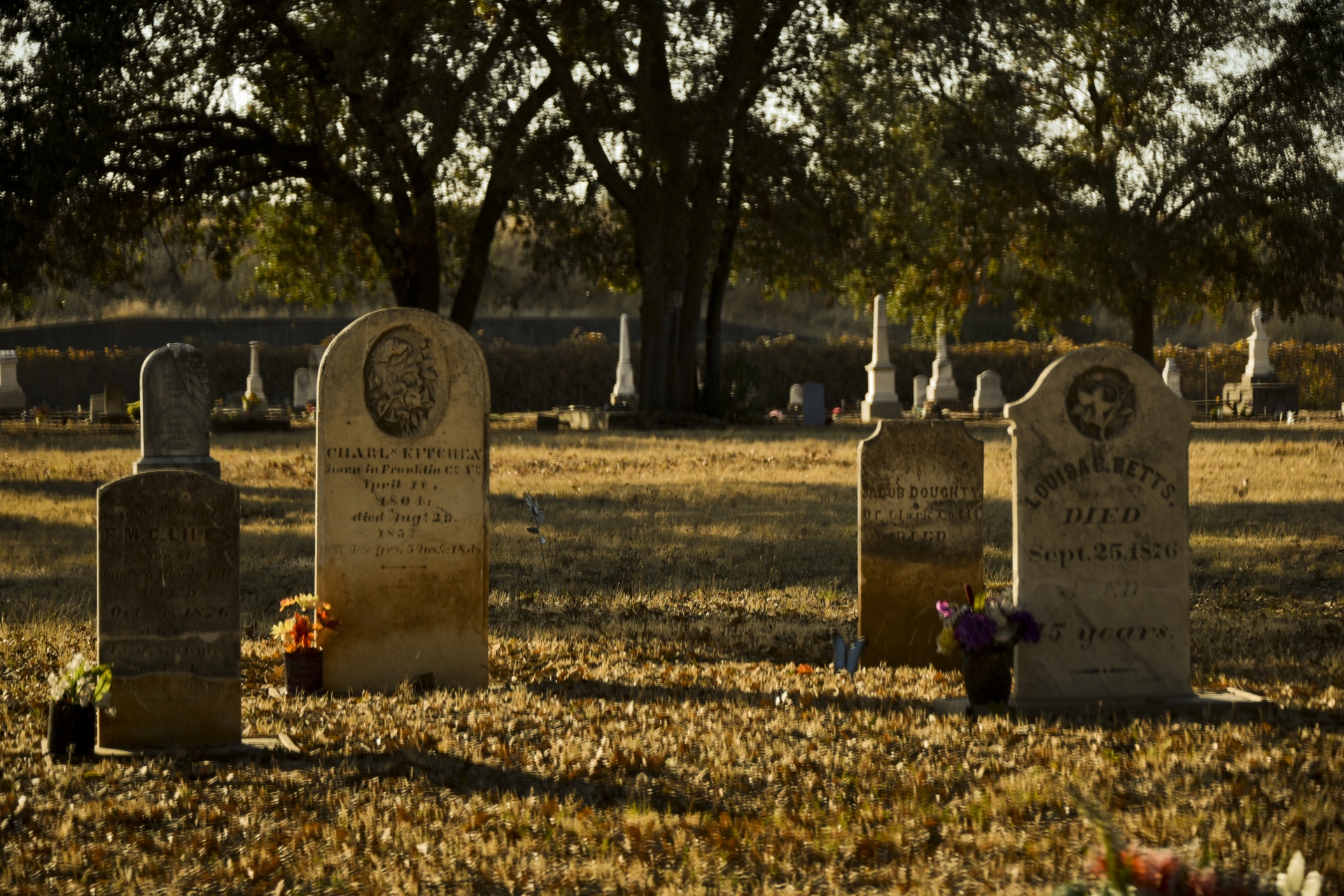 graveyard tombstones old free photo