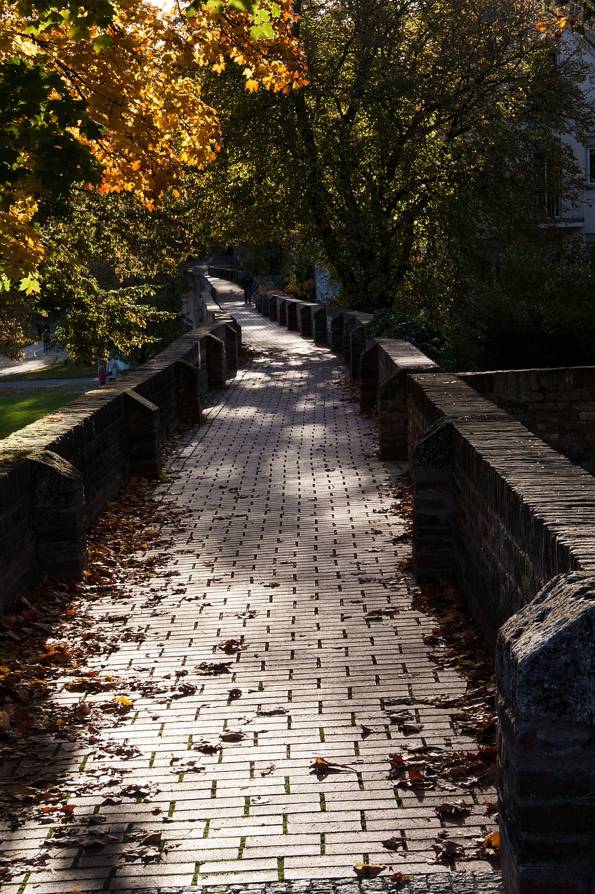 old town city wall autumn free photo