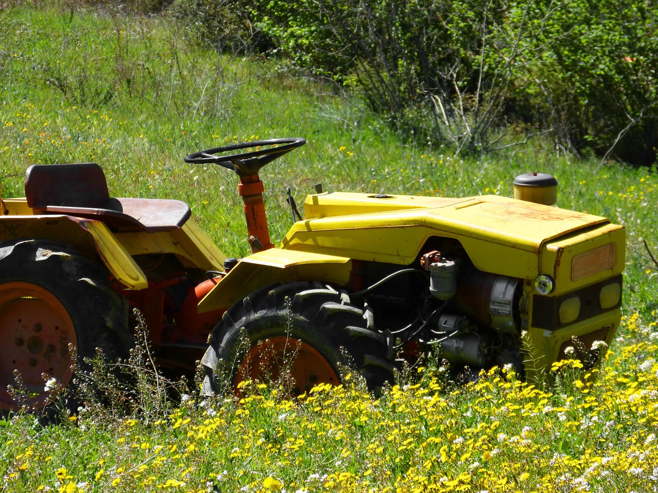 old tractor prado spring free photo