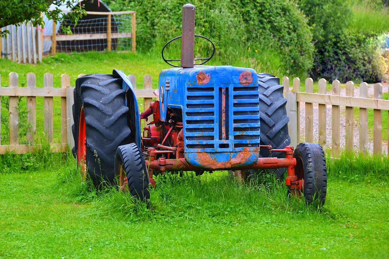 old tractor  tractor  agriculture free photo