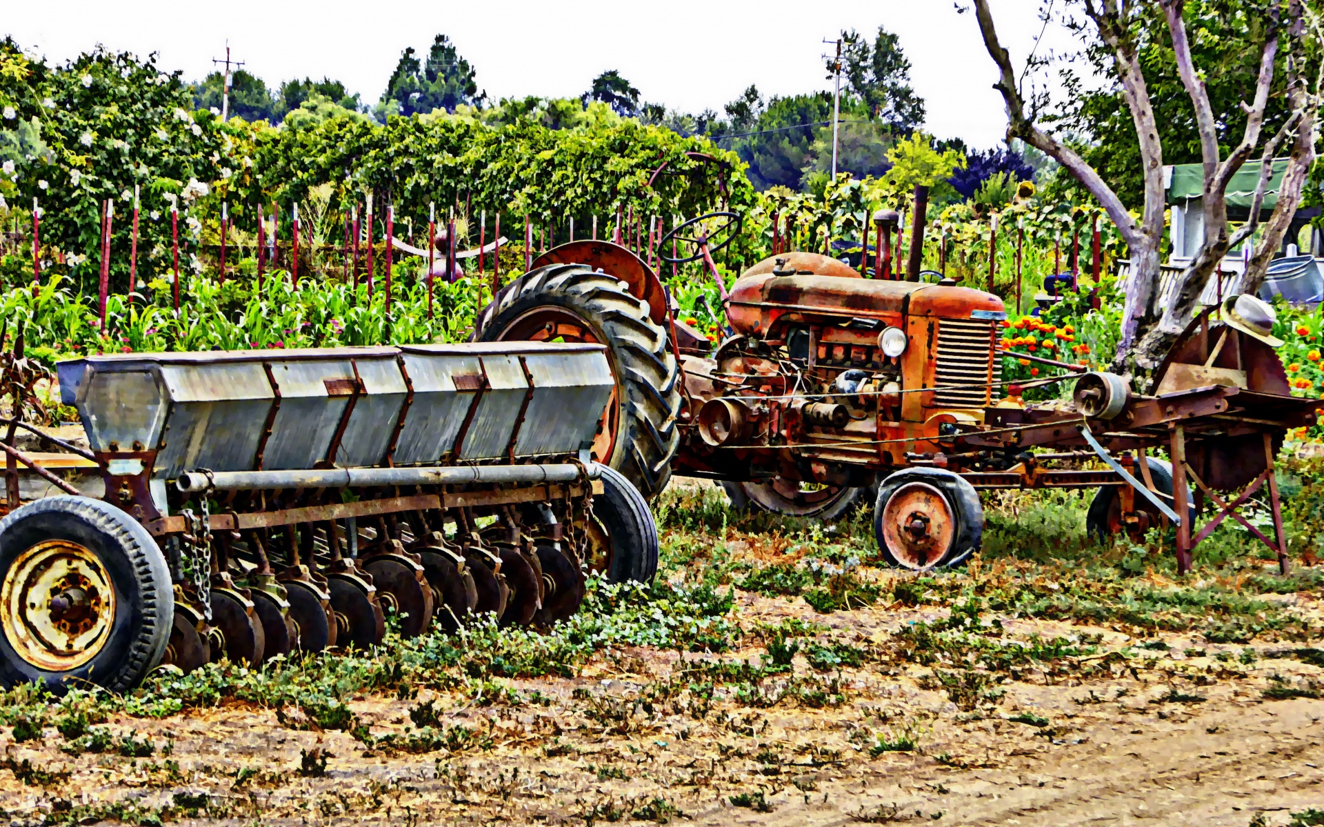 tractor tractors old free photo