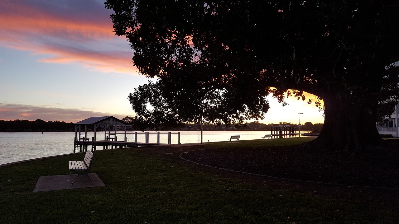 old tree sunset water free photo