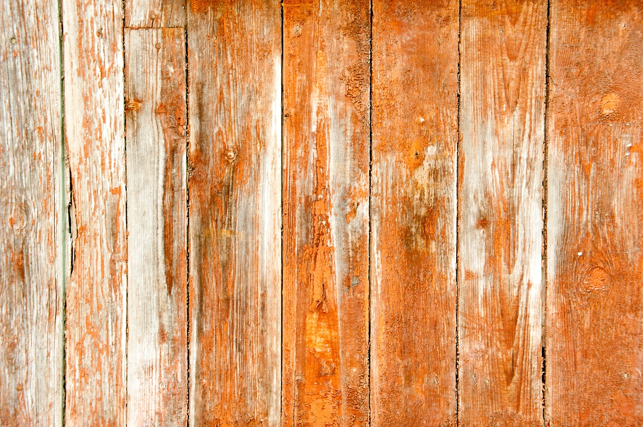 old tree  orange  boards free photo