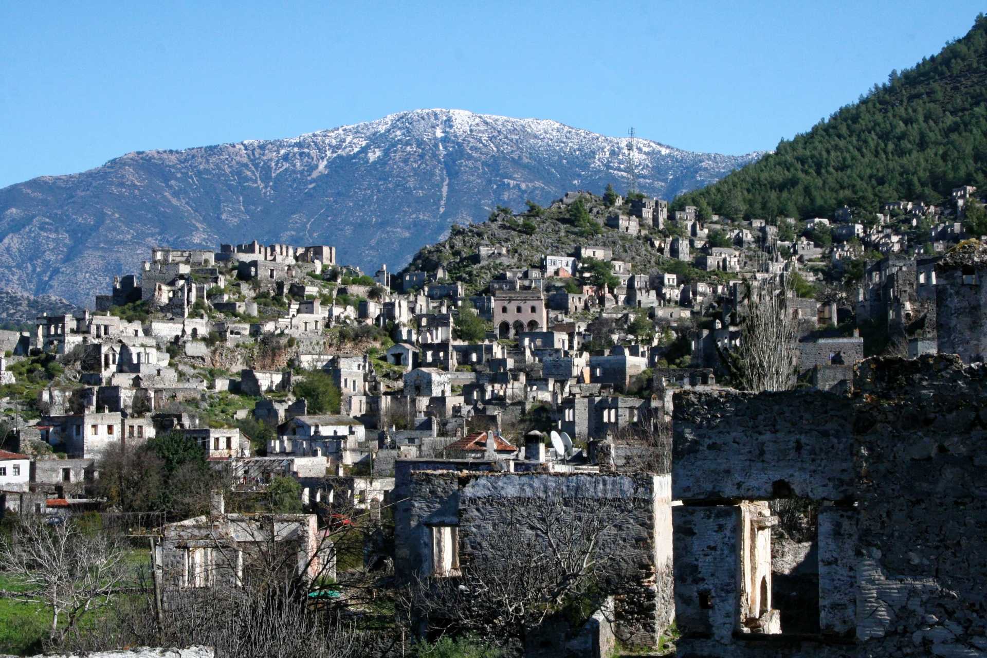 town old turkey free photo