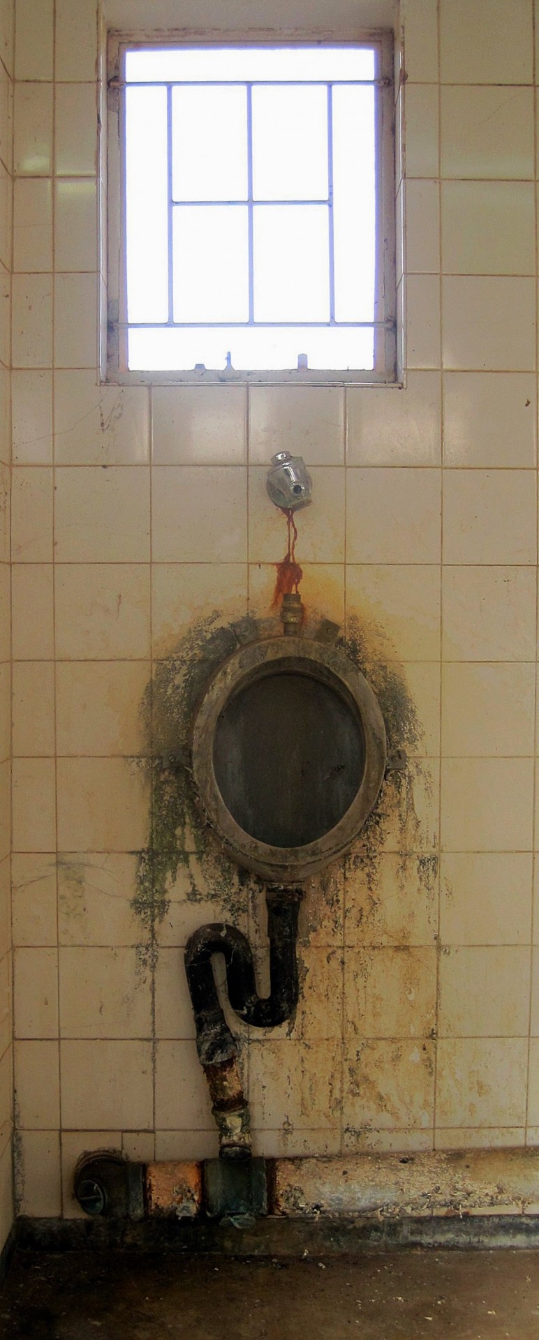 bathroom tiles urinal free photo