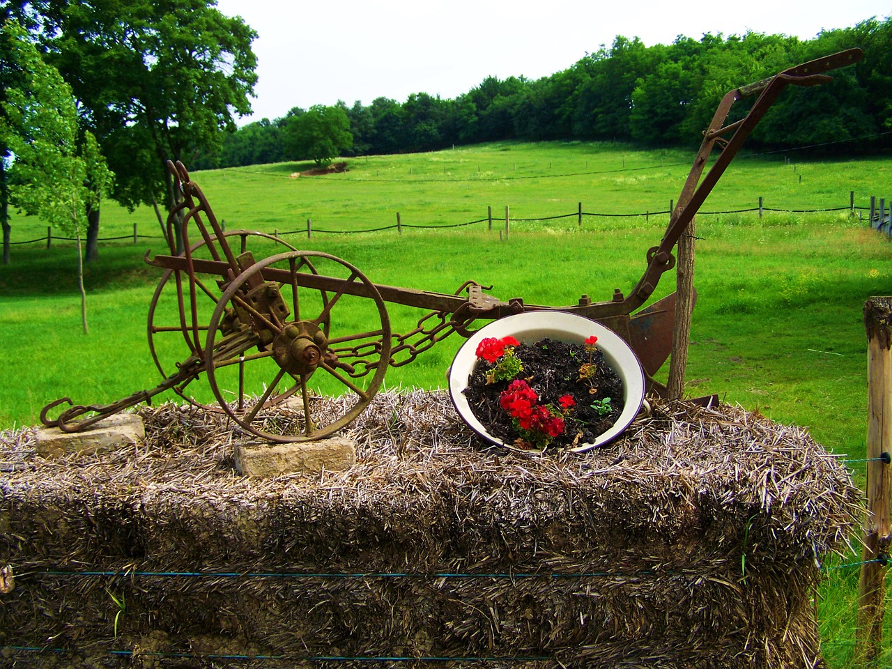 old vaseke old plow tool garden ornaments free photo