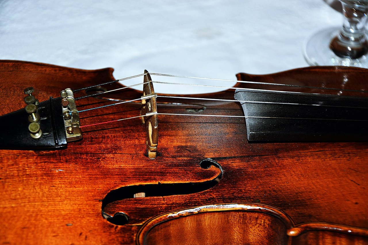 old violin string violin free photo