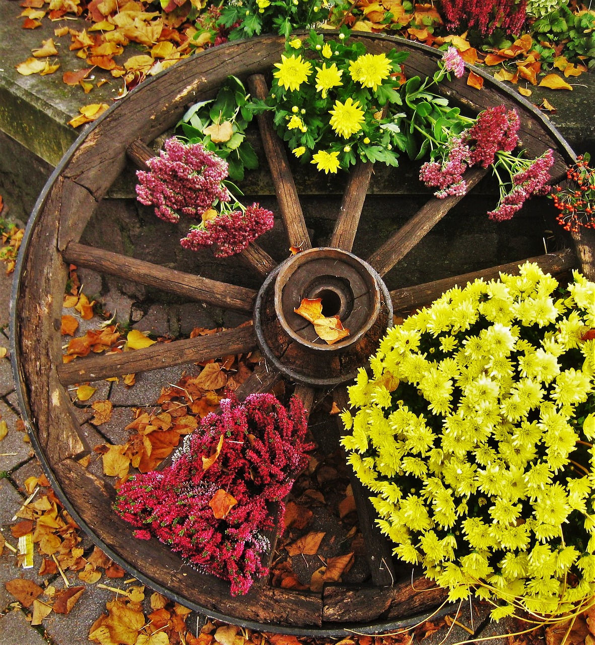 old wagon wheel herbstdeko farmer's market free photo