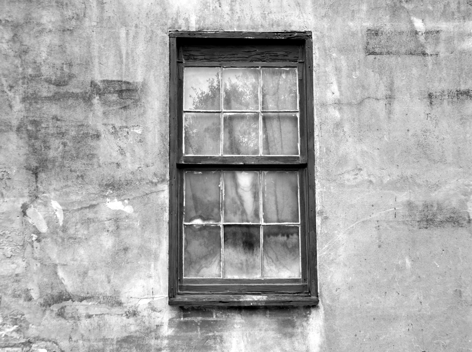 window wall background free photo