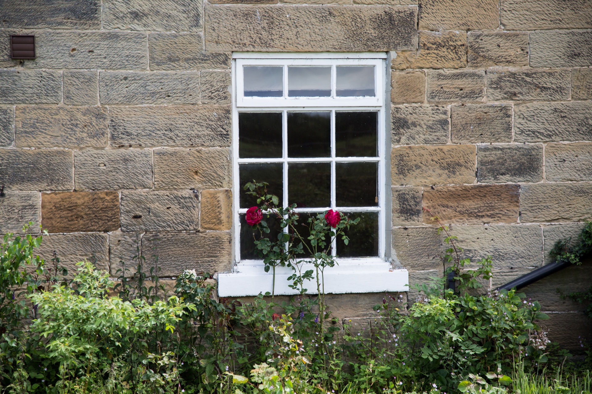 window architecture building free photo